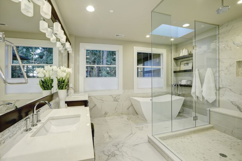 Luxury Tub and Shower Combo