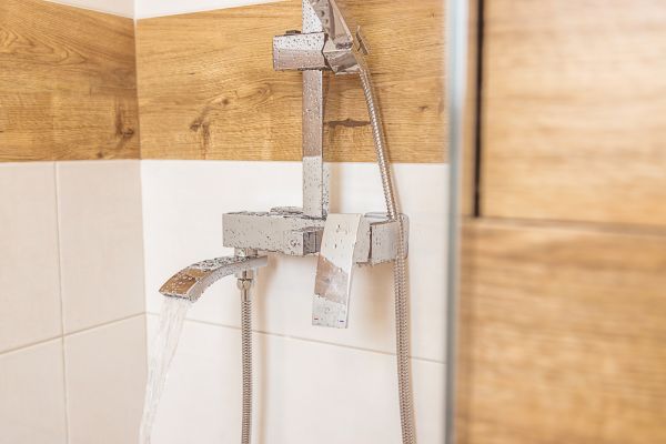 Cost of Shower Plumbing Installation in Georgetown